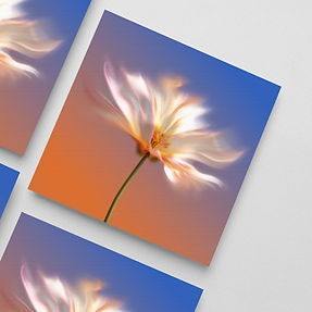 blissom print- spread.jpg