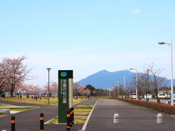 20160409学園の杜公園