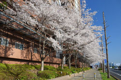 パークハウス_20210324 (2)