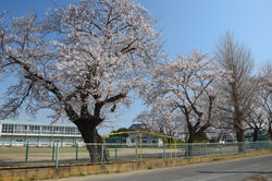 葛城小学校_20210326 (1)