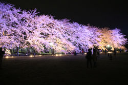 20170409ウシオライティング