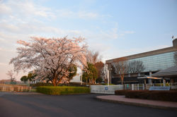 20200327安藤ハザマ (1)