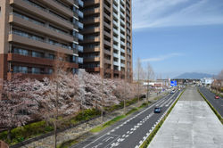 20200321パークハウス (1)