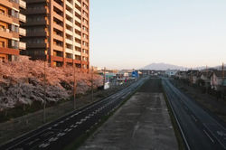 パークハウス_20210323 (1)