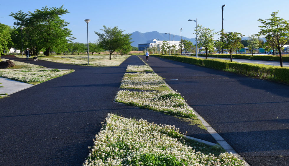 学園の杜公園南_20200507 (2).JPG