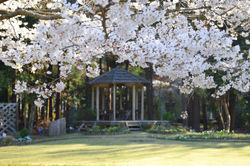 20190404ゆかりの森