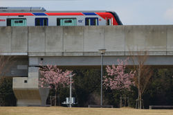 20200229学園南公園 (1)