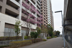 20190316サーパスマンション (2)