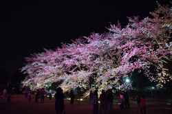 20180329ウシオライティング (15)