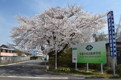 学園中央自動車学校_20210327 (1)