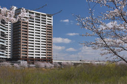 葛城川調節池_20220402(2)