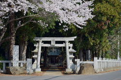 20180329鹿島神社 (8)