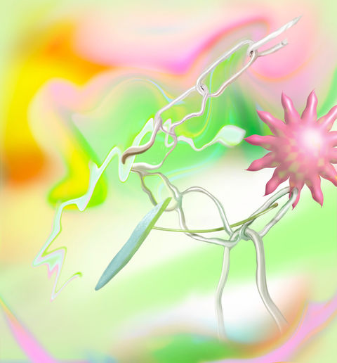 floral sun.jpg