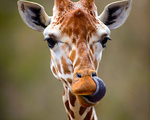 original (1)_edited.jpg