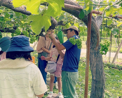 スクリーンショット 2024-03-04 18.05.07