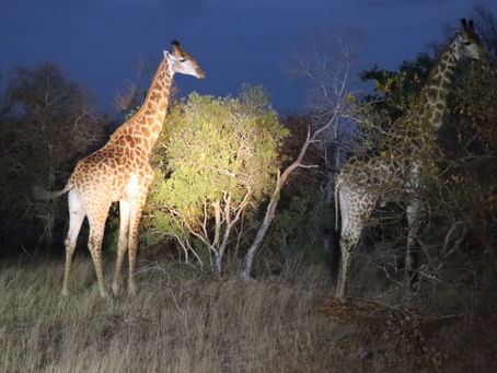 Autokitchen 7 Pro Full Con Crack Y Serial.epub [2022]