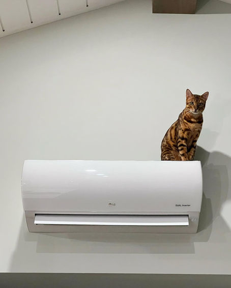 Heat Pumps vs. Traditional Heating Systems