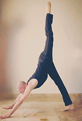 Yoga Narada Penche