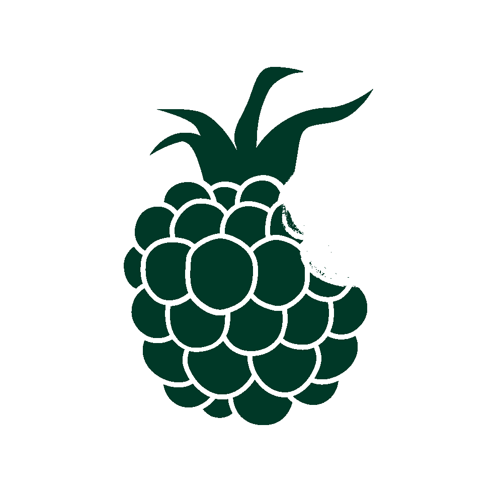 GIF DA MARCA AMORA BRASIL PUNCH NEEDLE