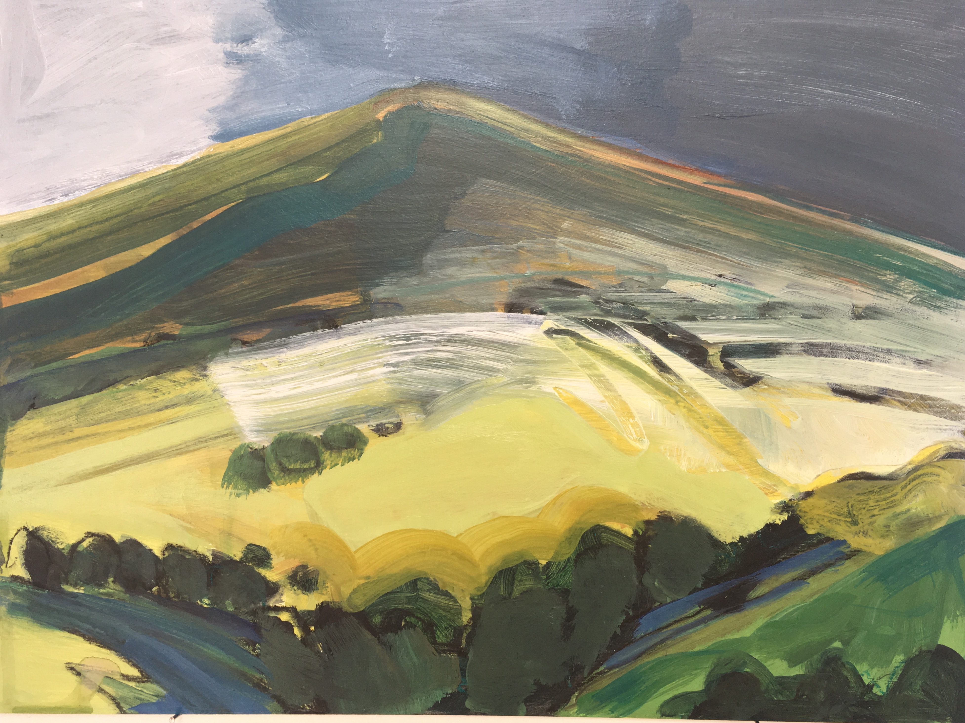 Sanquhar Hills, Summer II