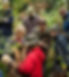 Fat Hen Foraging School