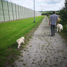 lovely walk