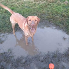ow look muddy walk before my bath