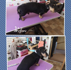 Cedric came in for a hand strip