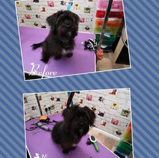 Little Billy came in for a bath and tidy up