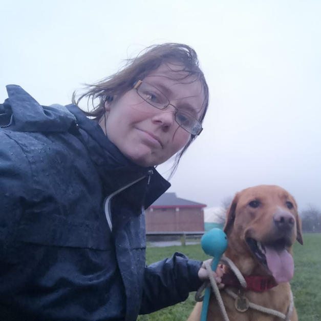 rainy morning walk with stanley
