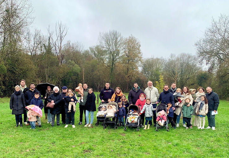 Un arbre une naissance.jpeg