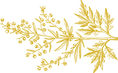Asset 3_10x-8(2).png