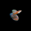 Thumbnail: Red Grass Guppy (Pair)