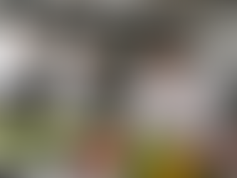 Monitoramento da Qualidade de Alimentos em Hotéis: Fundamentos, Métodos e Aplicações na Segurança Alimentar