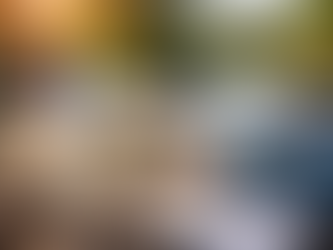 DBO alta: causas, riscos ambientais e como corrigir