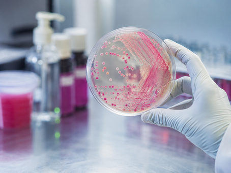 E. coli em Produtos Cosméticos: Riscos à Saúde e Implicações Legais
