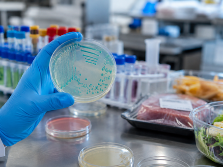 Pseudomonas aeruginosa em Água e Alimentos: Riscos, Persistência e Estratégias de Controle Microbiológico