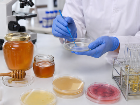 Certificação e Qualidade do Mel: A Importância da Análise Microbiológica