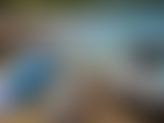 Vibrio na água do mar e em águas doces contaminadas: riscos microbiológicos, monitoramento ambiental e implicações para a saúde pública