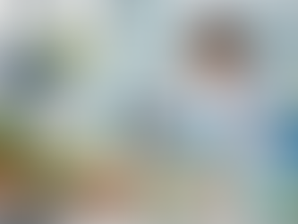 Controle de Qualidade em Produtos Veganos: Fundamentos Científicos, Desafios Regulatórios e Estratégias Analíticas.