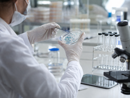 IN 161 ANVISA: o que é, o que mudou e como sua empresa deve se adequar em 2024/2025