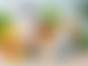 O que são suplementos alimentares e como escolher o melhor para o seu objetivo.