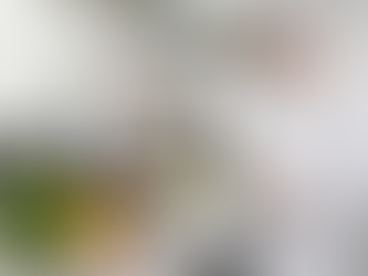 Controle microbiológico em restaurantes: o que monitorar para garantir segurança alimentar e conformidade sanitária