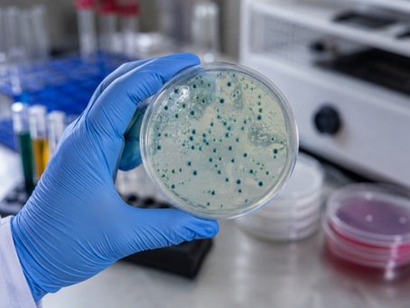 Qual a Diferença entre Listeria spp. e Listeria monocytogenes nas Análises Laboratoriais?