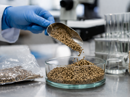 Análise de ração animal: quais parâmetros são obrigatórios para garantir segurança e qualidade?