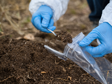 Como detectar pentaclorofenol em água e solo: métodos laboratoriais e tecnologias