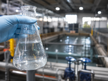 Pseudomonas aeruginosa vs outras bactérias: diferenças e riscos em alimentos