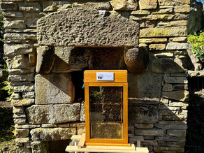 2026: Cliffe Castle Bee Blog 4