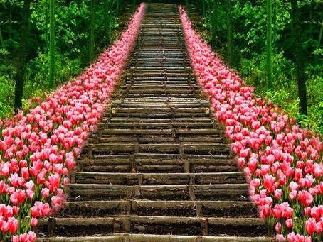 The Path of YOU