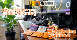 Lost & Found Magic Mushrooms While Cleaning: Micro Dosing Explained